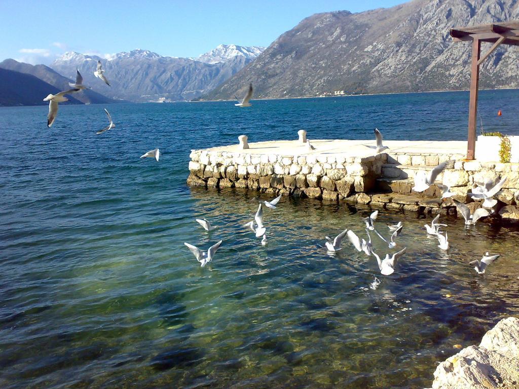 Hotel Pana-Eustahije 253 Kotor Zewnętrze zdjęcie